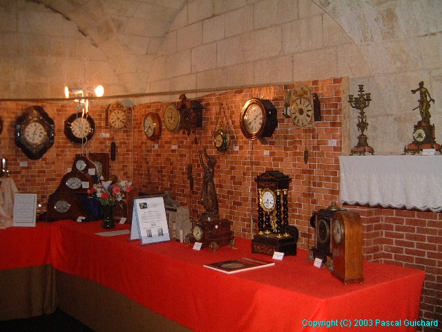DSCF8245