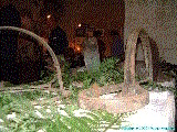 cliquez ici pour voir l'image (DSCF8261.jpg)
